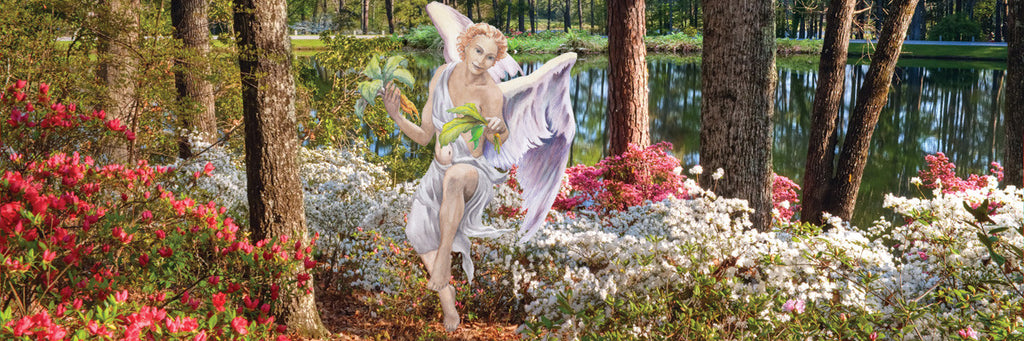 Special Feature: Superfoods - Are all plants super?