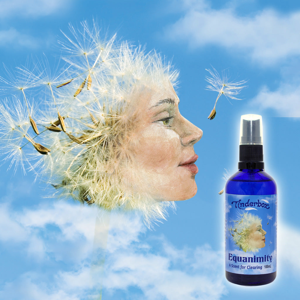 Spotlight On: Equanimity
