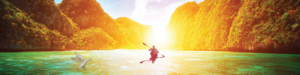 Essential Oil: Tea Tree, Lemon Tea Tree