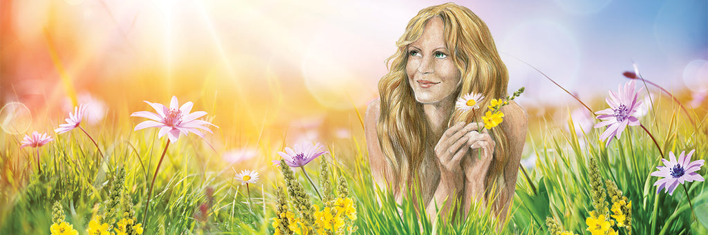 Oil Infusion: Mullein 'Friend to ears and foe to evil spirits'