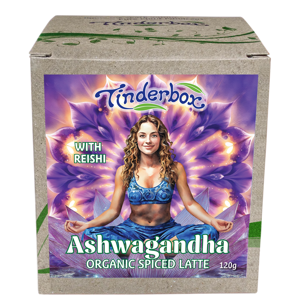 Ashwagandha Organic Spiced Latte 120g