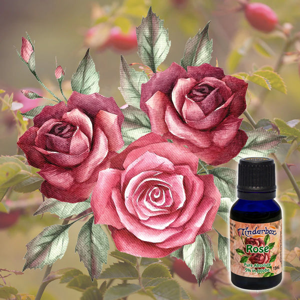 Rose deals essential oil