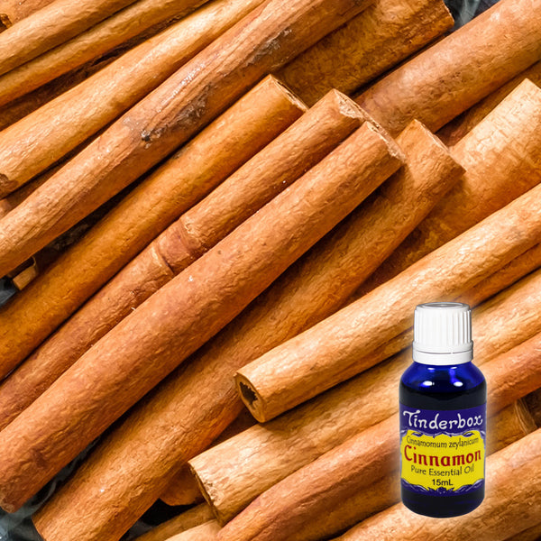 Cinnamon Essential Oil Tinderbox