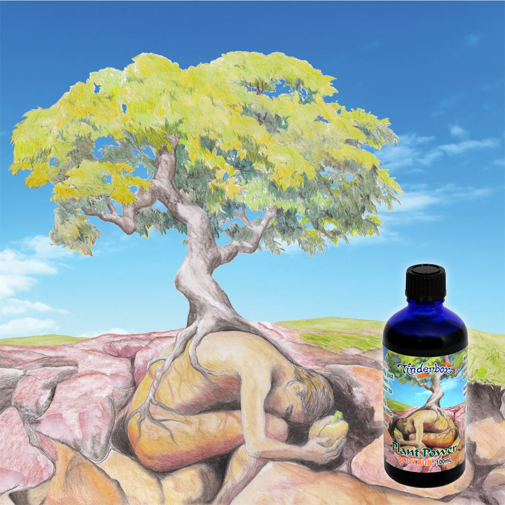 natural massage oil plant power