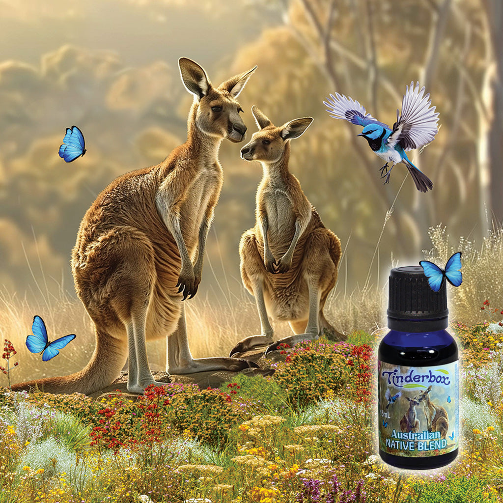 Spotlight On: Australian Native Blend
