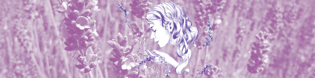 Essential Oil: Lavender