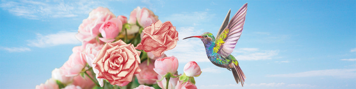 Essential Oil: Rose