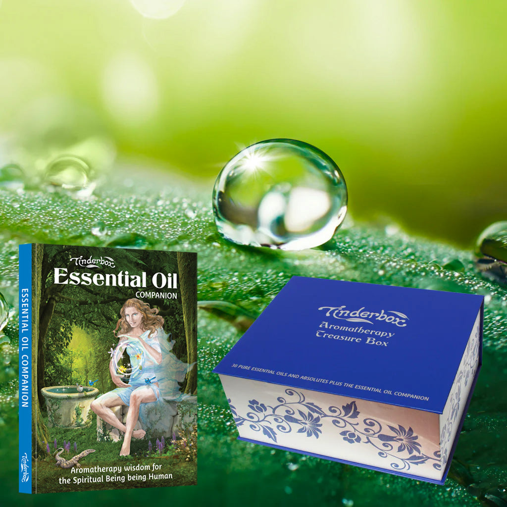 Aromatherapy Treasure Box