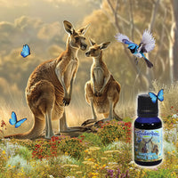 Australian Native Blend 15mL