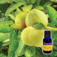 Bergamot Essential Oil 15mL