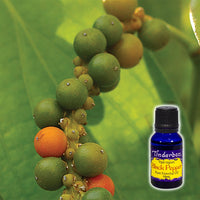 Black Pepper Essential Oil 15mL