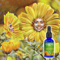 Calendula Tincture 30mL