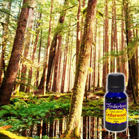 Cedarwood Essential Oil 15mL (atlantica)