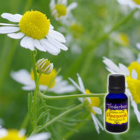 Chamomile Essential Oil 15mL (Roman)