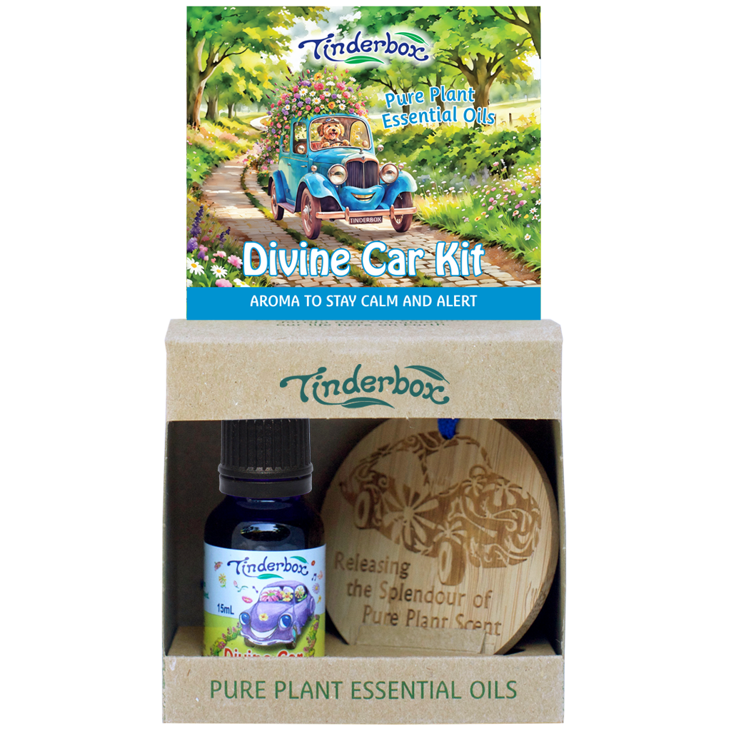 Divine Car Kit