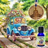 Divine Car Kit