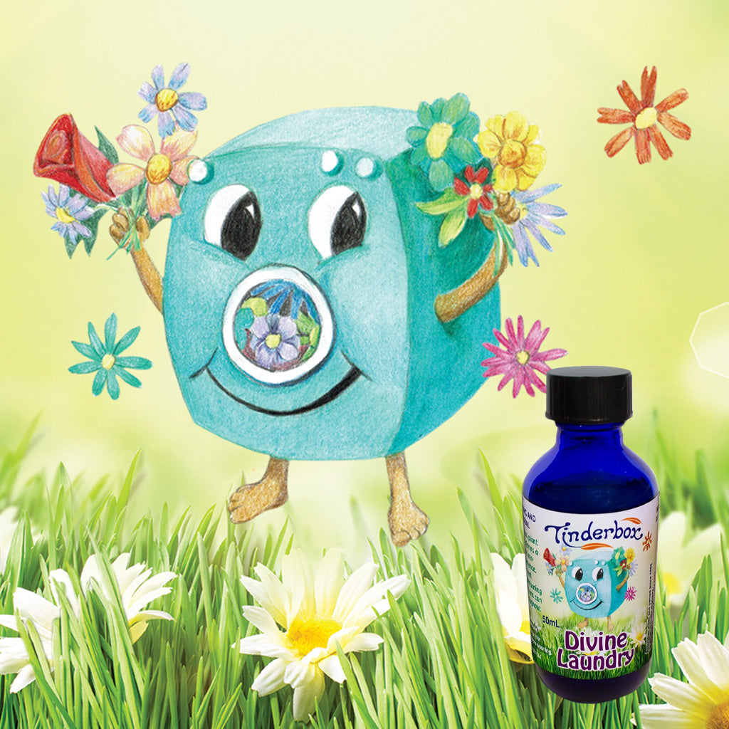 Divine Laundry Blend 50mL