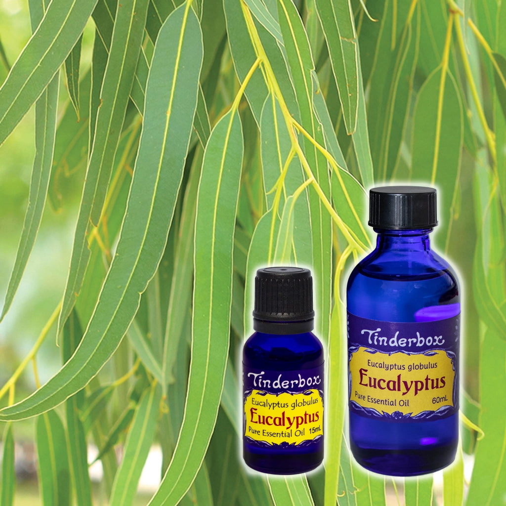 Eucalyptus Essential Oil