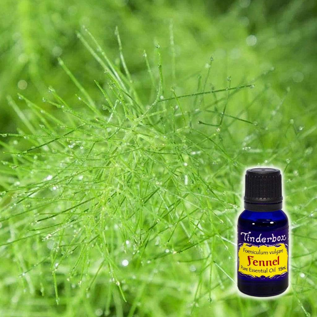 Fennel Essential Oil 15mL