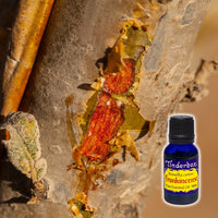 Frankincense Essential Oil 15mL