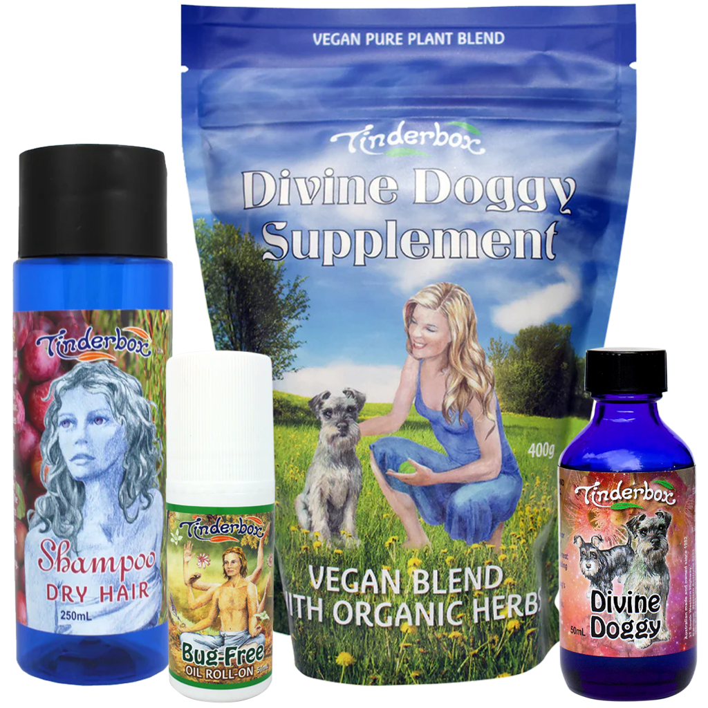 Dog Care Gift Box