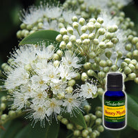 Lemon Myrtle Essential Oil 15mL