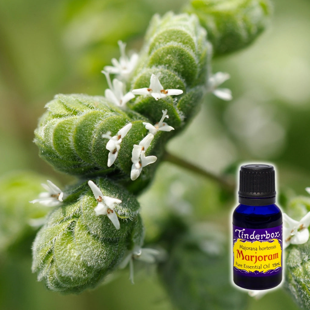 Marjoram Essential Oil 15mL