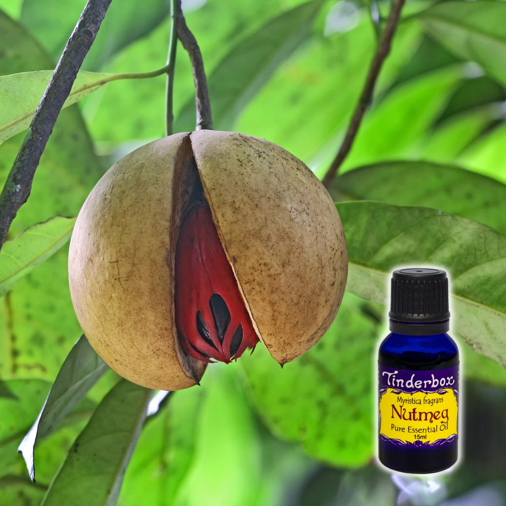 Nutmeg Essential Oil 15mL