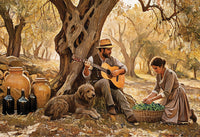 Olive Oil 500mL, Organic