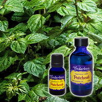 Patchouli Essential Oil