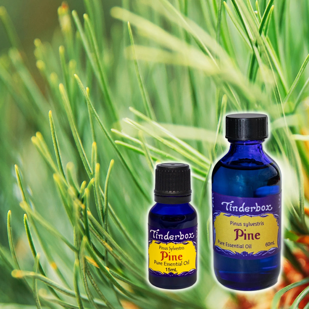 Pine Essential Oil