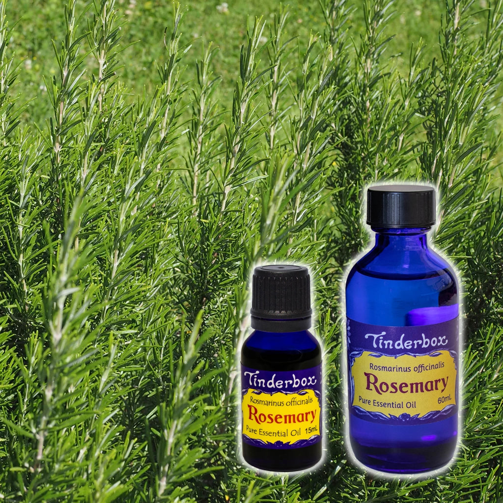 Rosemary Essential Oil