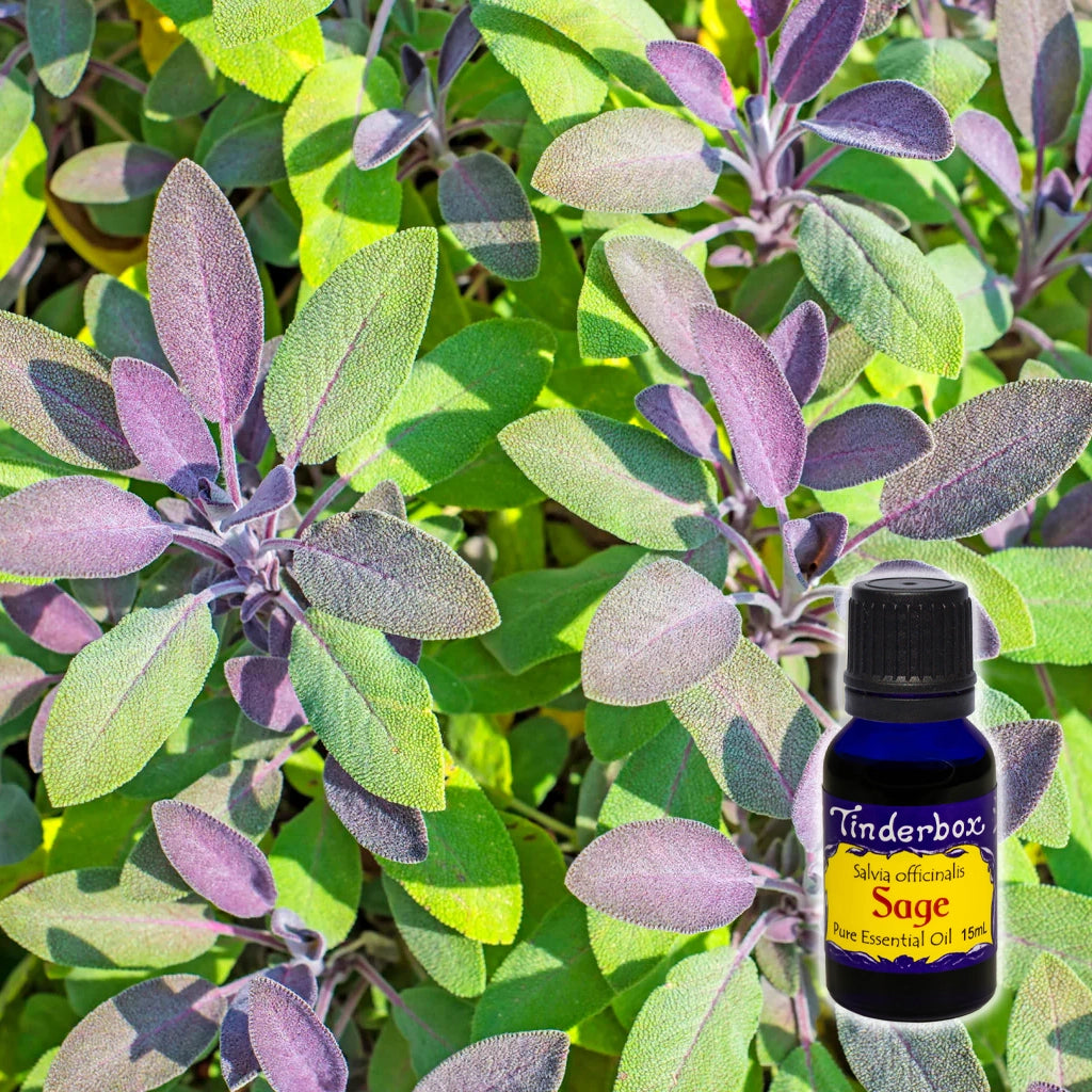 Sage Essential Oil 15mL