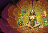 Soma Spiritual Elixir 200mL