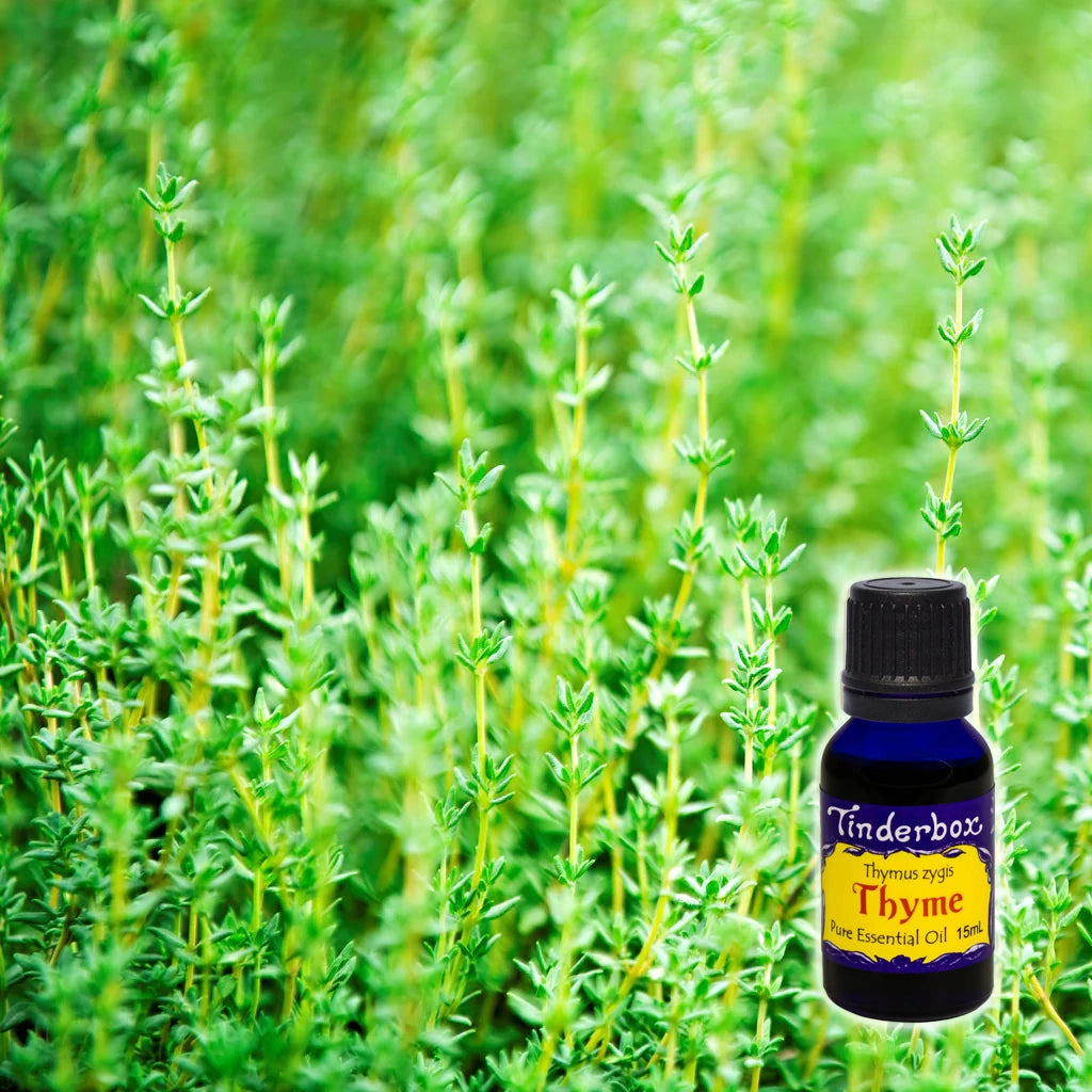 Thyme Essential Oil 15mL