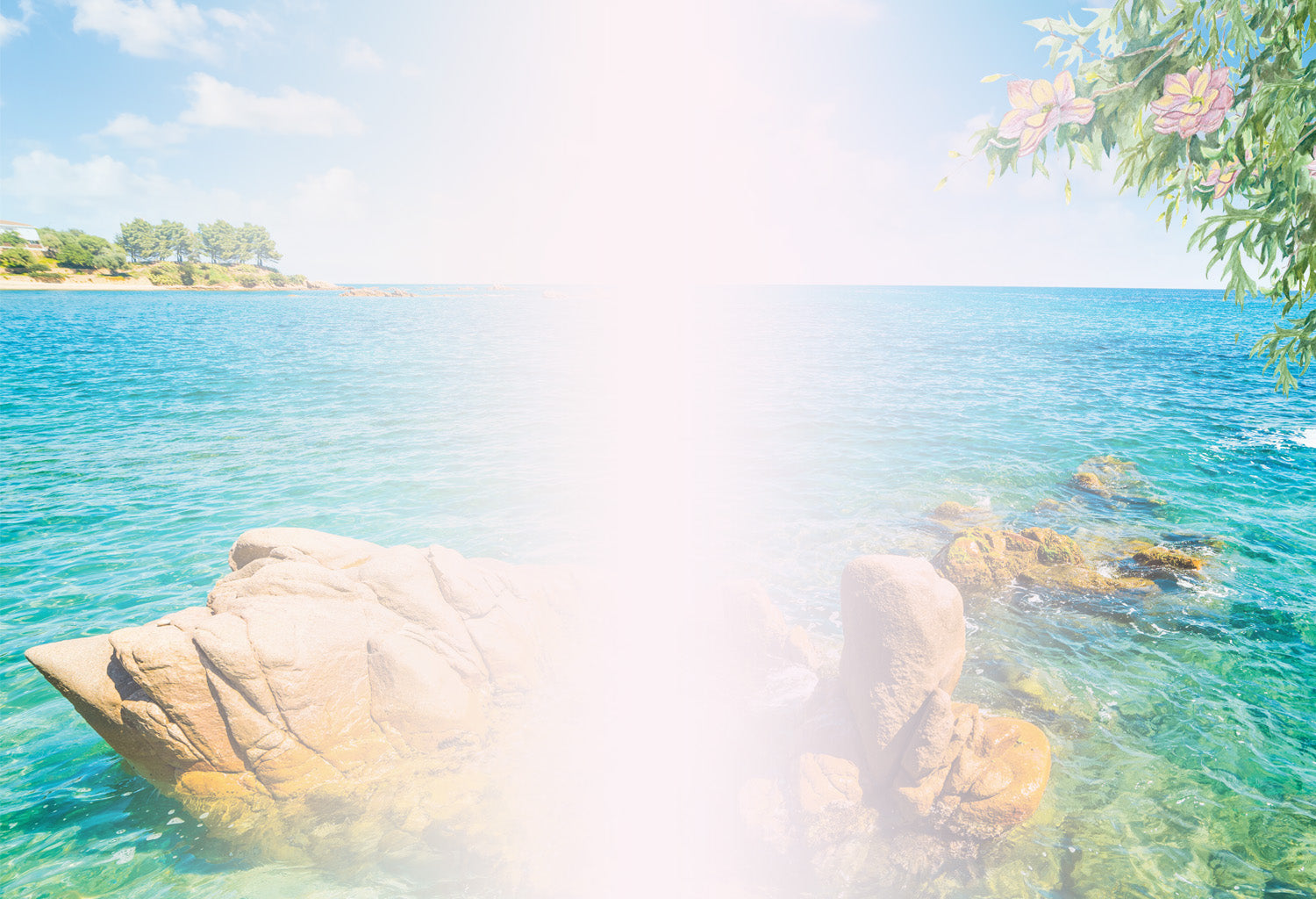 Tinderbox Natural Personal Care, Bathing and Powders