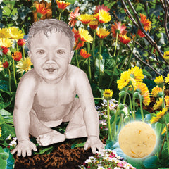 baby soap calendula