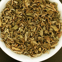 blessed thistle