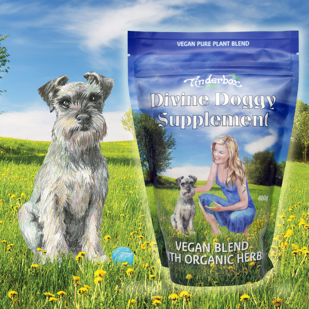 Divine Dog Organic Supplement 400g
