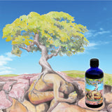 natural massage oil plant power