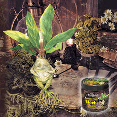 Special Herbal Balm